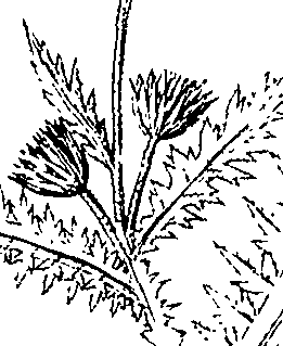 110/110220030300390_1.png