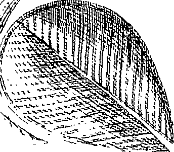 110/110220030300420_2.png