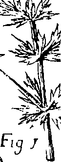 110/110220030300450_0.png
