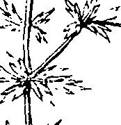110/110220030300450_1.png