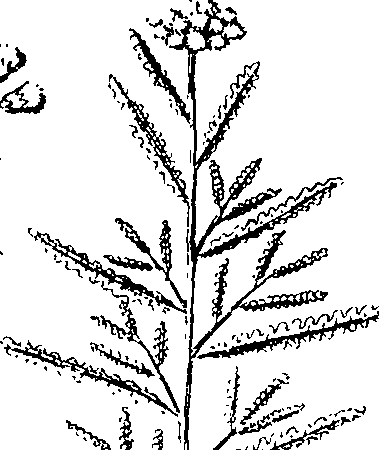 110/110220030300450_2.png