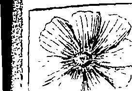110/110220030300450_4.png