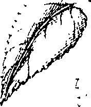 110/110220030300470_0.png