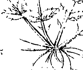 110/110220030300480_0.png