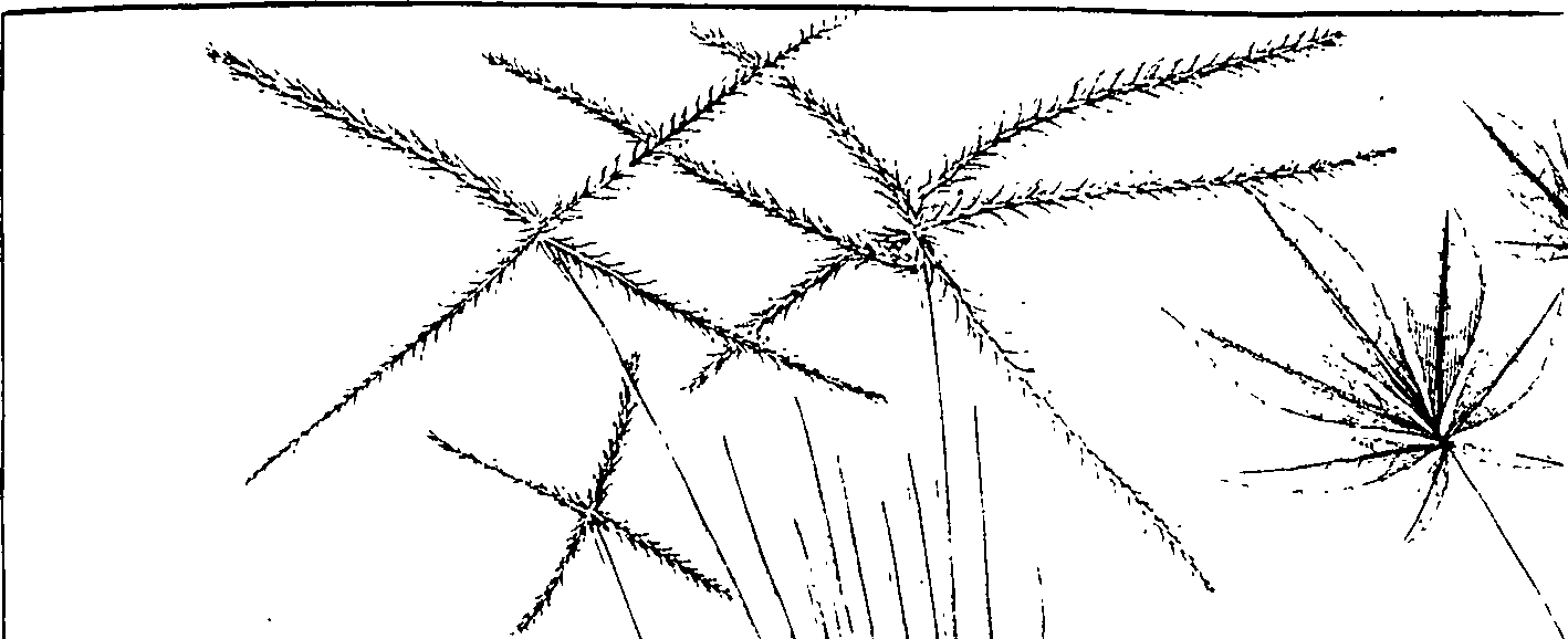 110/110220030300740_0.png