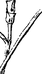 110/110220030300750_0.png