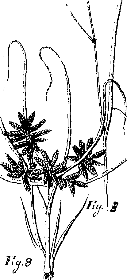 110/110220030300760_0.png