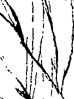 110/110220030300760_1.png