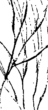 110/110220030300760_2.png