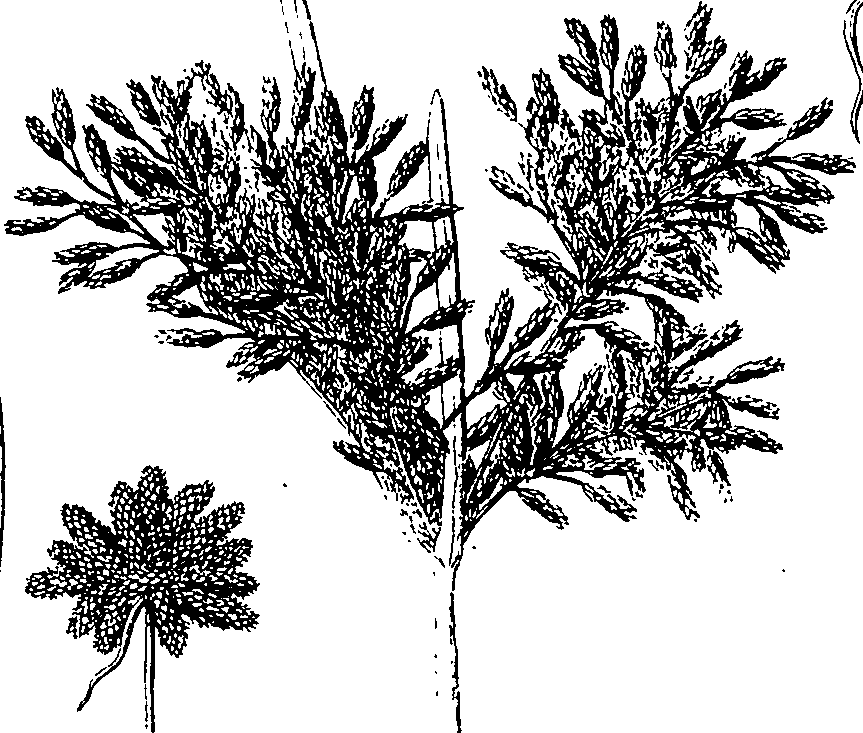 110/110220030300770_0.png