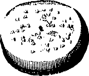 110/110220030300780_0.png