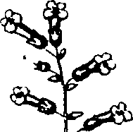 110/110220030300780_1.png