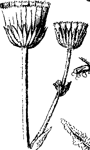 110/110220030300790_0.png