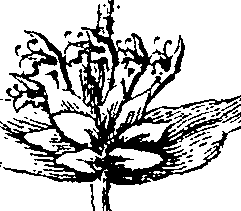 110/110220030300790_1.png