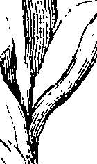 110/110220030300800_0.png