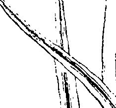 110/110220030300800_1.png