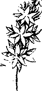 110/110220030300800_2.png