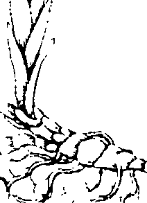 110/110220030300810_1.png