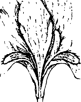 110/110220030300810_2.png