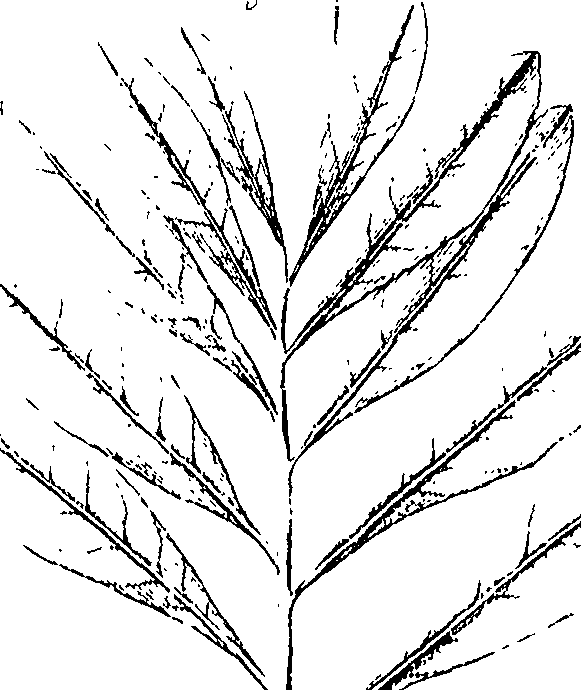110/110220030300840_0.png