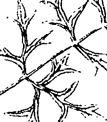 110/110220030300840_1.png