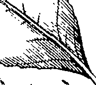 110/110220030300850_0.png