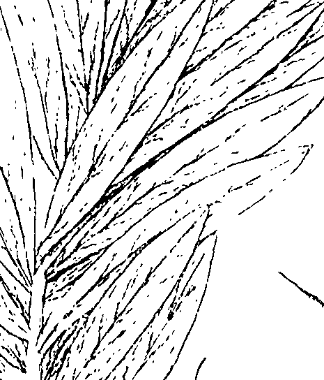 110/110220030300850_2.png