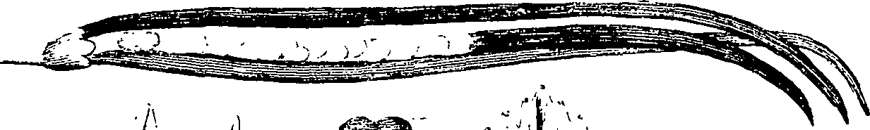 110/110220030300850_3.png