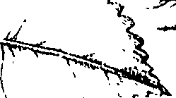 110/110220030300860_0.png