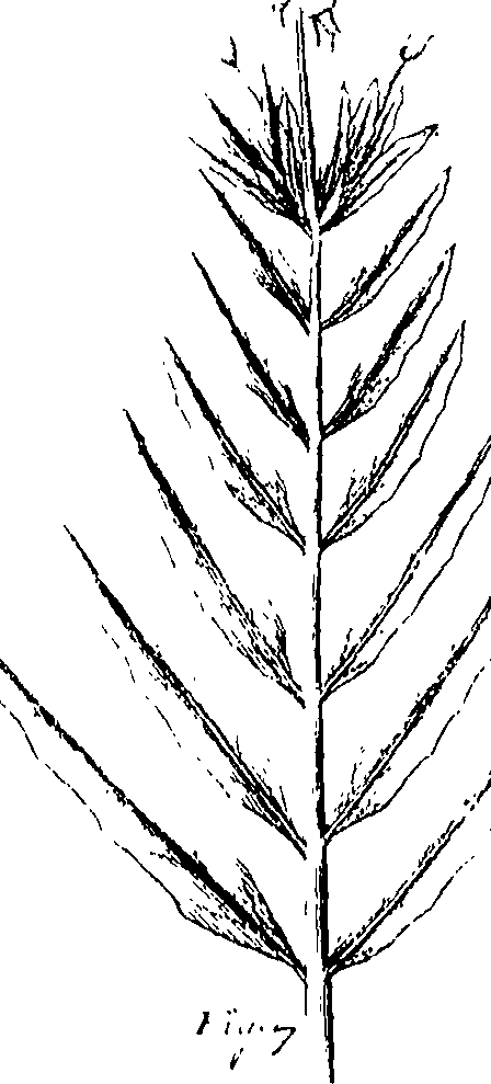 110/110220030300870_0.png