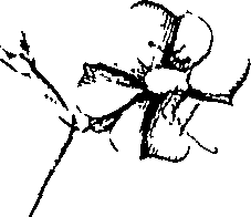 110/110220030300870_1.png