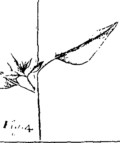 110/110220030300880_0.png