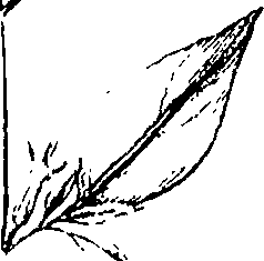 110/110220030300880_2.png