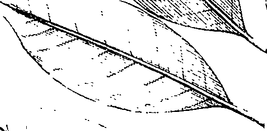 110/110220030300890_0.png