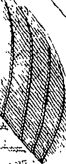 110/110220030300930_0.png