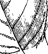 110/110220030300930_1.png