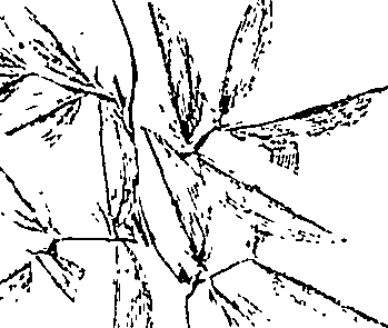 110/110220030300950_0.png