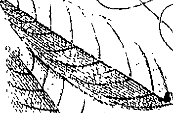110/110220030300960_0.png