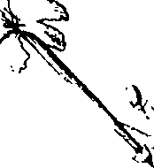 110/110220030300960_1.png