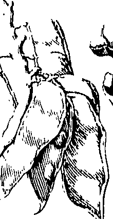110/110220030300990_0.png