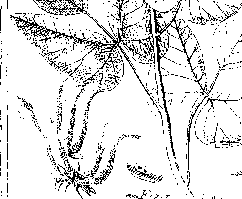 110/110220030300990_1.png