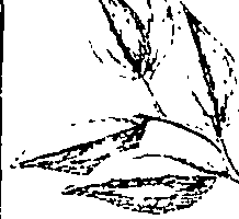 110/110220030301010_0.png