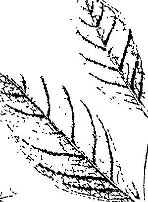 110/110220030301020_1.png