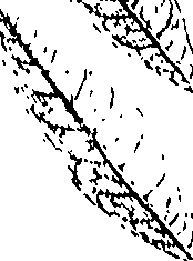 110/110220030301030_0.png