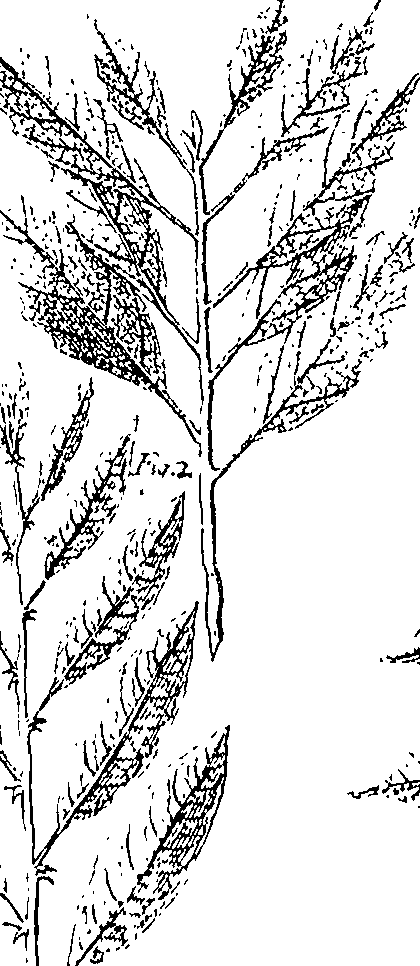 110/110220030301030_1.png
