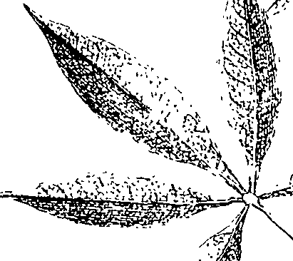 110/110220030301030_2.png