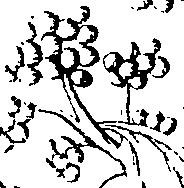 110/110220030301040_0.png