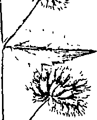110/110220030301070_0.png