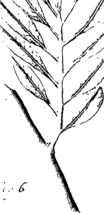 110/110220030301080_0.png