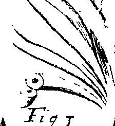 110/110220030301080_1.png